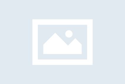 No-Image placeholder